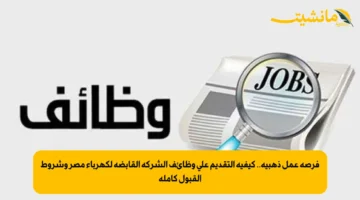 فرصة عمل ذهبية.. كيفية التقديم على وظائف الشركة القابضة لكهرباء مصر وشروط القبول كاملة